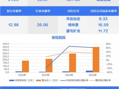 全球鎳產業龍頭！中國最大的鎳礦貿易商今日上市