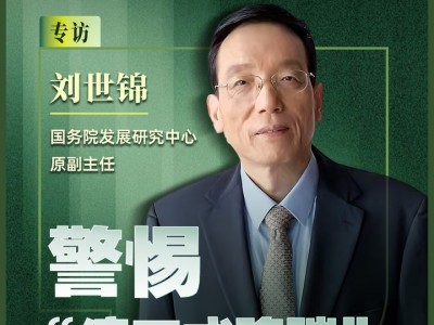 劉世錦：警惕 “停工式降碳”，不計成本的轉型不可持續，建議探索在適宜區域水平上進行碳核算