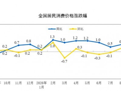 中國股票配資網：能源價格推升CPI同比漲幅，下階段走勢如何