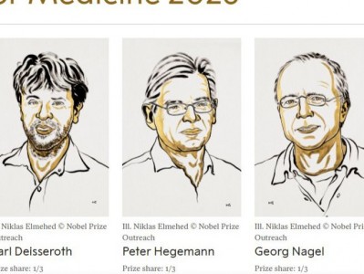 配資查詢導航網：2026年諾貝爾生理學或醫(yī)學獎頒給光遺傳學！如何用光控制記憶、情緒與行為？